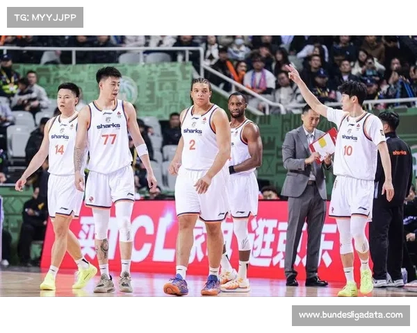 传统格局重构：上海反超广厦登顶，宁波北控等黑马球队崭露头角